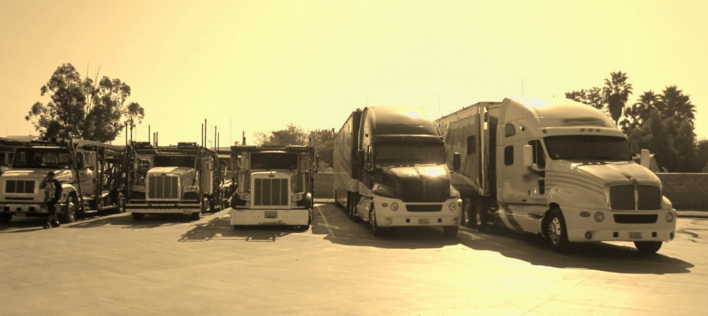 EZ Auto Logistics Transportation Options
